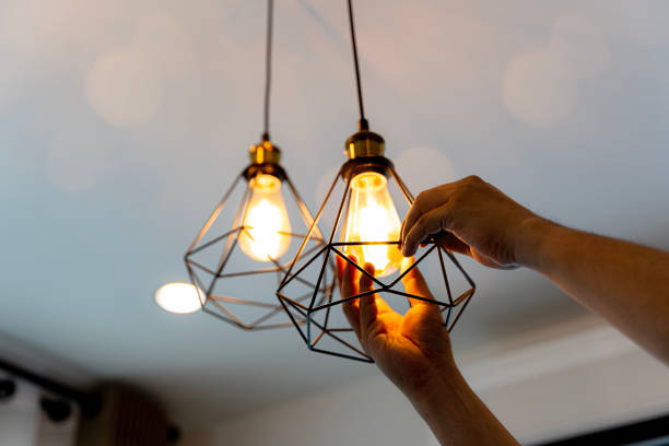 Best Electrician for Home Renovation  in University Park, IL