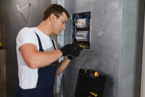 Best Electric Panel Repair  in University Park, IL
